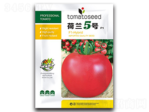 ���m5̖(h��o)-���ѷN��-�A�S�N�I(y��)