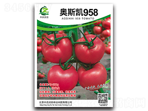 �W˹�P958-���ѷN��-���r(n��ng)��(r��n)��