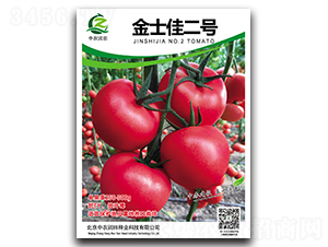 ��ʿ�Ѷ�̖-���ѷN��-���r����