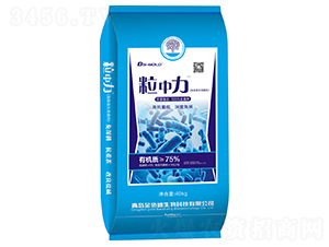 ����΢�������-������-���ʢ