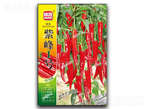 �Ϸ�һ̖-�⽷�N��-�d�߷N�I(y��)