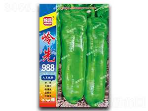 �X��988-�ݽ��N��-�d�߷N�I(y��)