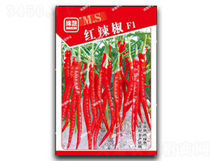 �t����-�����N��-�d�߷N�I(y��)