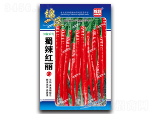 �����t��-�����N��-�d�߷N�I(y��)