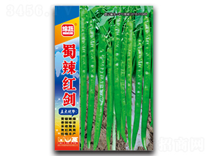 �����t��-�����N��-�d�߷N�I(y��)