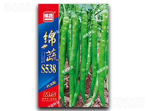 �d��S538-�����N��-�d�߷N�I(y��)