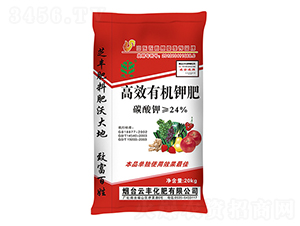 �ЙC(j��)⛷�-֥�S-���S����