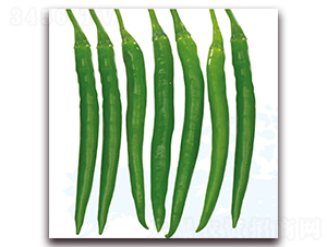 ����һ̖-�����N��-��֮�W