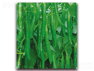 ����2̖-�����N��-��֮�W