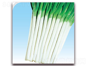 ��Ԫ�[��̖-���[�N��-��֮�W