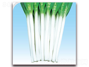 ���[��Ԫ��̖-���[�N��-��֮�W