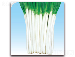 ���[��Ԫ��̖-���[�N��-��֮�W