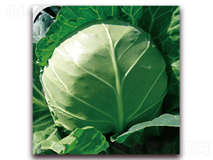 ��ʢ-���{(l��n)�N��-��֮�W