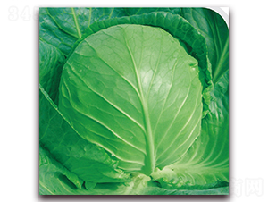 ��ϲ-���{�N��-��֮�W