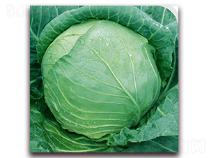 ��ϲ2̖-���{�N��-��֮�W