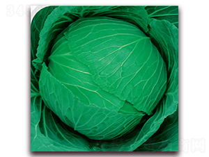 ����1̖-���{�N��-��֮�W