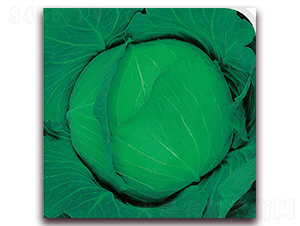 ����2̖-���{�N��-��֮�W