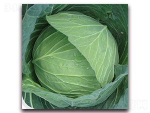 ��������1-���{�N��-��֮�W