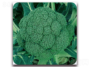 �G�x120-���m���N��-��֮�W