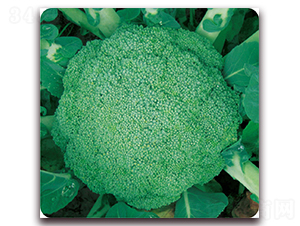 �G��60-���m���N��-��֮�W