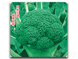 �G��90-���m���N��-��֮�W