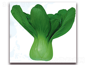 �۹�2̖(h��o)-�ײ˷N��-��֮�W