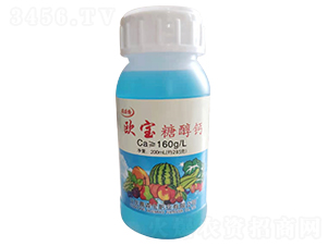 �W���Ǵ��}-������-��ɭ��