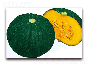 ����2̖(h��o)-�ϹϷN��-��֮�W