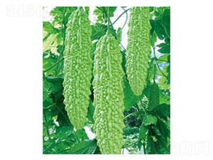 ������-��ϷN��-���؈@ˇ