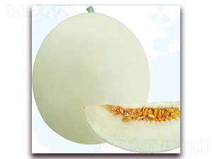 �֠���-��ϷN��-��֮�W