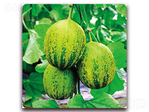 ������G-��ϷN��-��֮�W