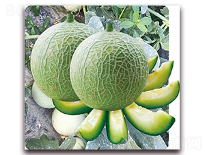 ���ҹ�-��ϷN��-��֮�W