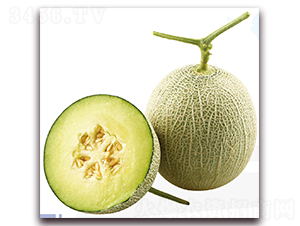 ���x-��ϷN��-��֮�W