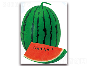 ����-���ϷN��-��֮�W