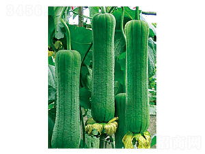 ���ش�G-�z�ϷN��-���؈@ˇ