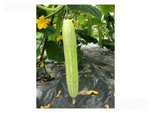 ���@ʮ��̖(h��o)-�S�ϷN��-���؈@ˇ