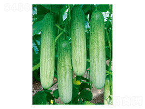 ���д��-�S�ϷN��-���؈@ˇ