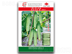 �����-�S�ϷN��-���؈@ˇ