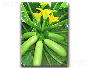 ���_-�����J�N��-���_