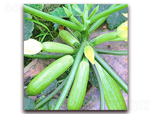 ��¡-�����J�N��-���_