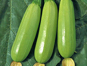 �G�S-�����J�N��-���_