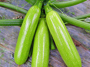 ����-�����J�N��-���_