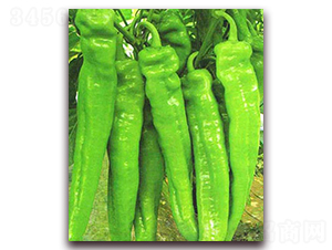 �L�G798-�����N��-���_