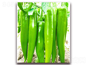 �ɱ�-�����N��-���_