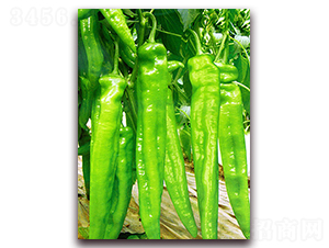 ����-�����N��-���_