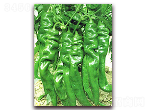 �ݽz��2̖-�����N��-���_