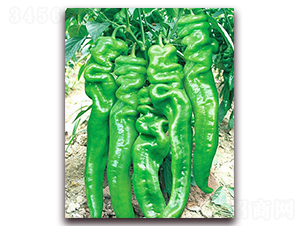 �ݽz��1̖-�����N��-���_