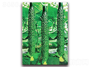 ���_(d��)5̖(h��o)-�S�ϷN��-���_(d��)