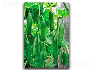 �G��1̖(h��o)-�S�ϷN��-���_(d��)