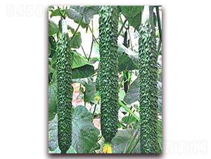 ���_(d��)2̖(h��o)-�S�ϷN��-���_(d��)